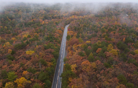 Introducing the DJI Lightbridge